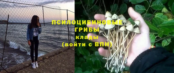 мет Аркадак