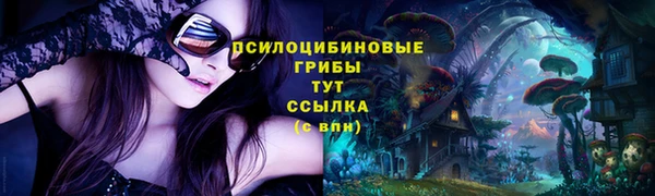 мет Аркадак